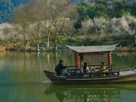 Ханчжоу: Hangzhou Shuimo Zhuang Private Home Forest Hotel (Chaoshan Scenic Area)