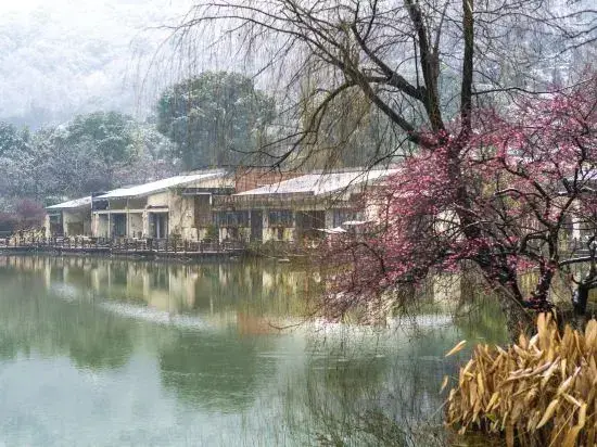 Ханчжоу: Hangzhou Shuimo Zhuang Private Home Forest Hotel (Chaoshan Scenic Area)