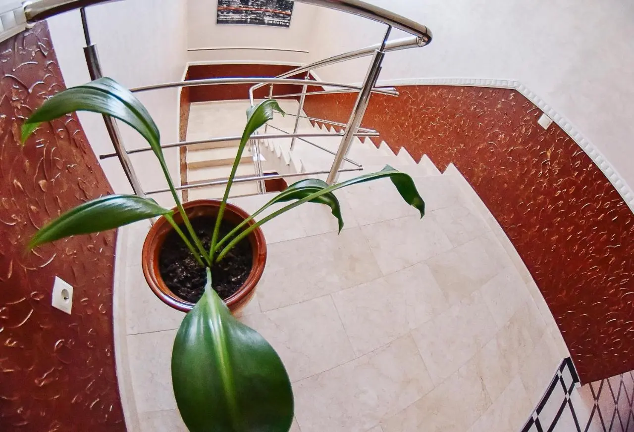 Анапа: Guest House Ilios