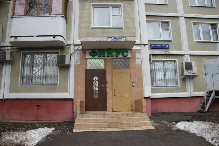 Москва: Хостел Фикус