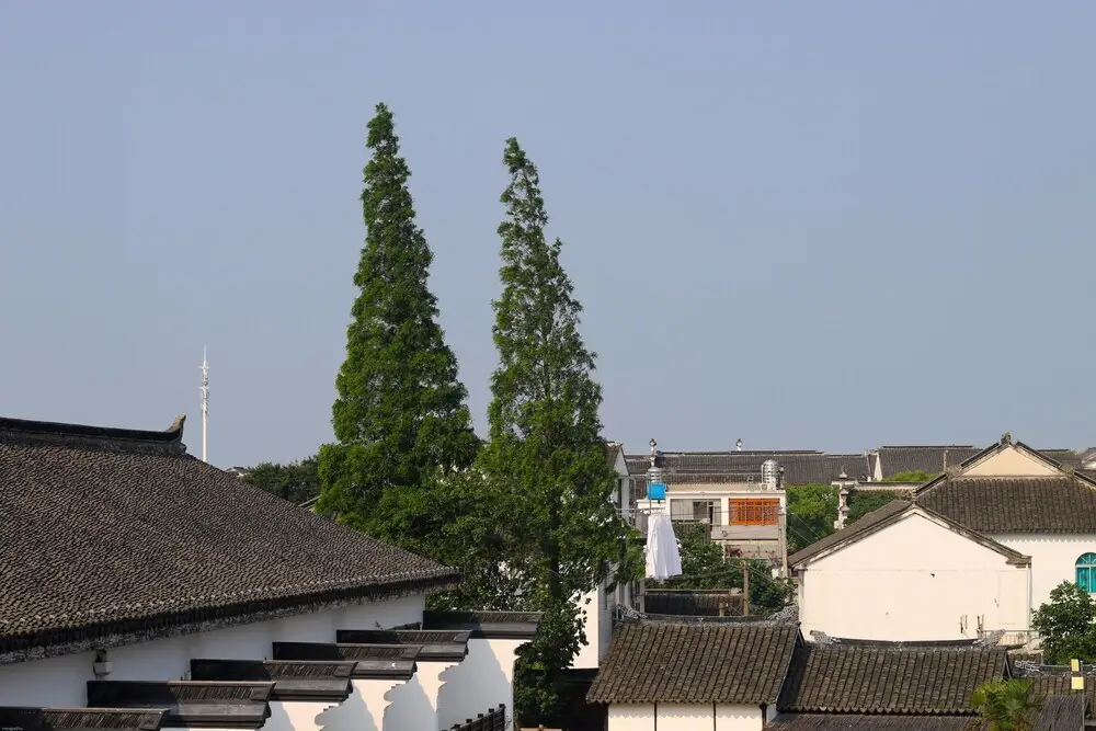 Zhouzhuang Nanhu Inn — фото 1