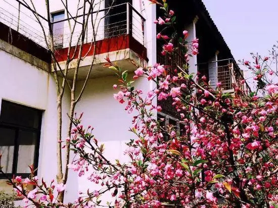 Хучжоу: Zhuliguan Boutique Hostel