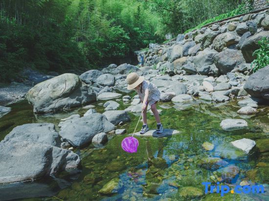 Хучжоу: Stream in Cloud Resort Hotel