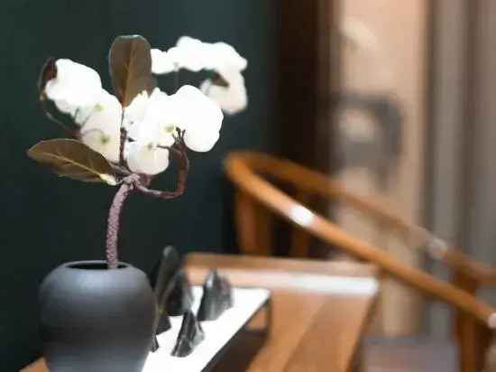 Гуйян: Zijin No.1 Hotel(Wanda Plaza, Guanshan lake, Guiyang)