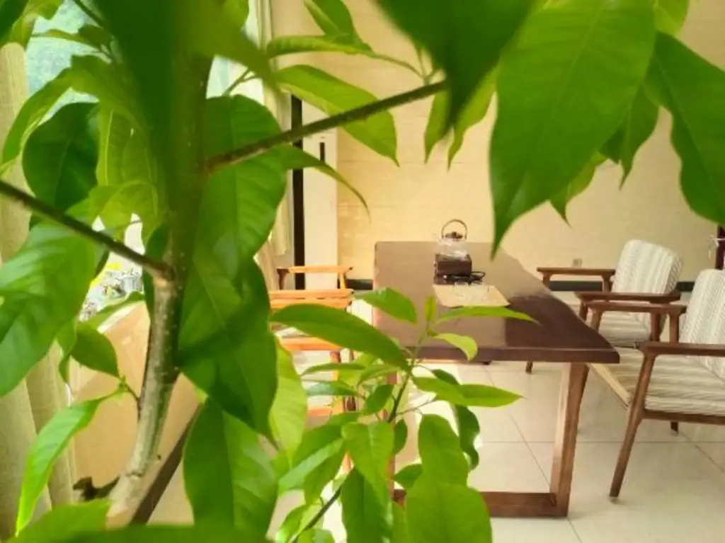 Хуаншань: Luojiaodian Inn
