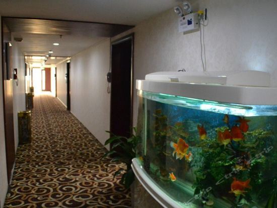 Шицзячжуан: Shijiazhuang Airport Hotel