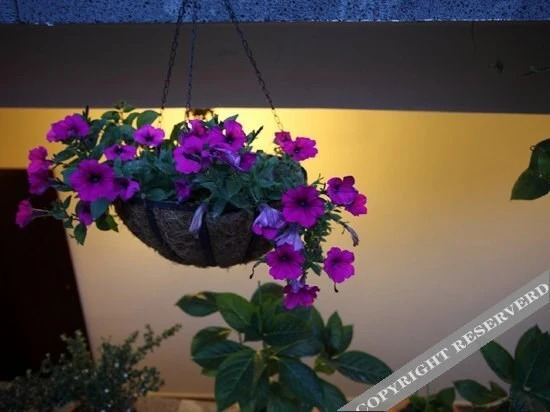 Lulujia Boutique Inn — фото 1