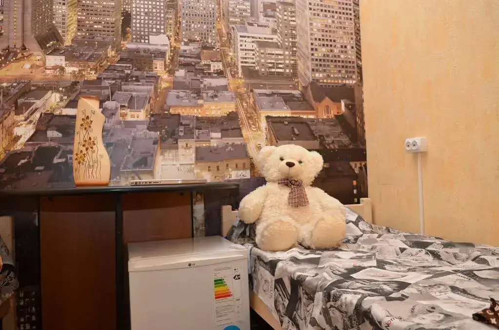 Москва: Хостел «Тедди»