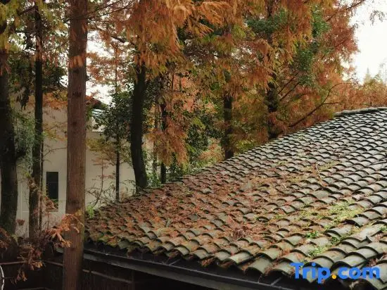Чэнду: Qingcheng Study Eco Resort Hotel
