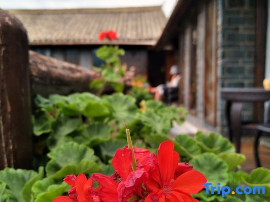 Дали: Impression Shaxi Inn