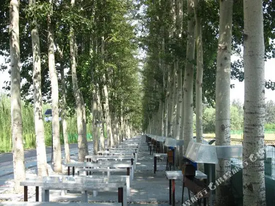 Тяньцзинь: Yiyuan  Hotel