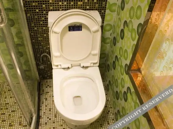 Шанхай: Aixuan Fashionable Hotel (Shanghai Xiabi Road)