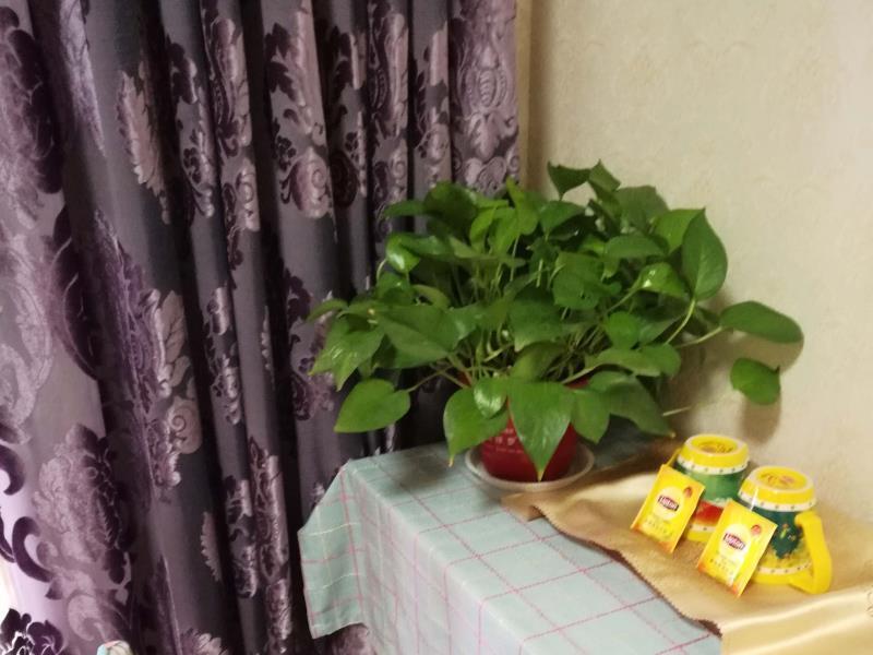 Сиань: Xian Wisteria Lane Sunny Guest House