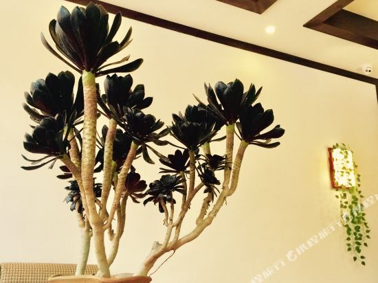 Beidou Qixing Holiday Hotel — фото 1