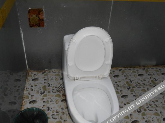 Чунцин: Tianzhidu Business Hotel