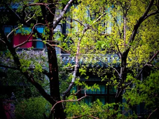 Датун: Wenying Hotel