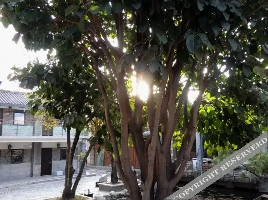 Дали: Xilu Shangshe Boutique Inn