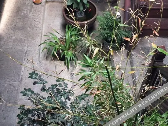 Yongjiang Inn — фото 1