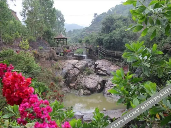 Zilian Forest Resort — фото 1