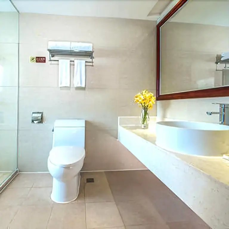 Дунгуань: Vienna Hotel