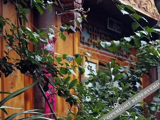 A Ying Inn — фото 1