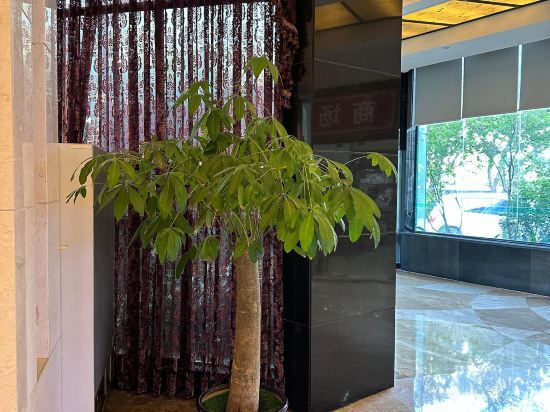 Сямынь: Dayi Yiho Hotel