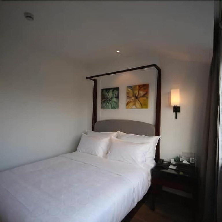 Шанхай: Baolong Homelike Hotel (Shanghai Yugang Wharf)