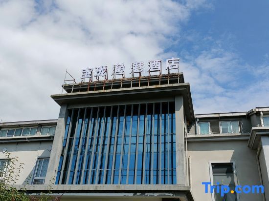 Шанхай: Baolong Homelike Hotel (Shanghai Yugang Wharf)
