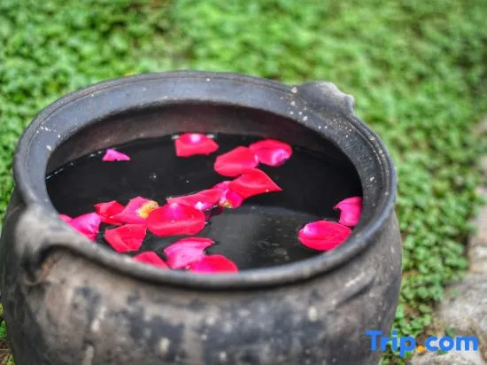 Дали: Dali Ancient Roadside · Wushe Inn