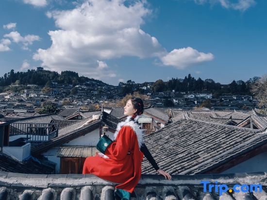 Лицзян: Yueyue Flower • Panoramic View of the Ancient City Travel Photo Meisu