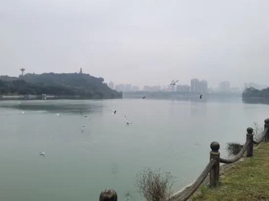 Мяньян: mianyang Filin Taohuadao Hotel