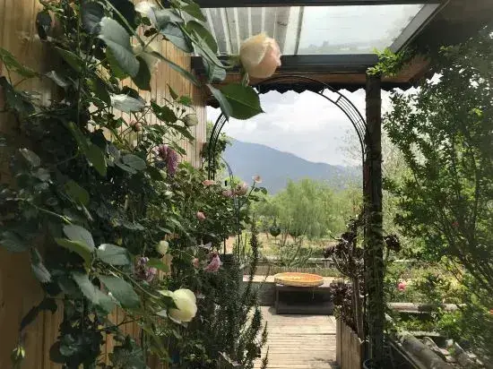 Дали: Meet Garden Inn