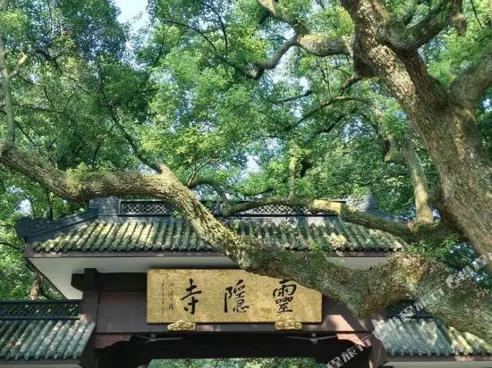 Ханчжоу: 杭州蜜茶客栈