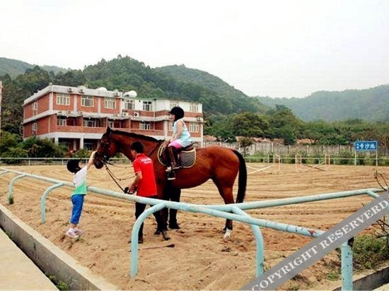 Гуанчжоу: Tianlu Equestrian Club