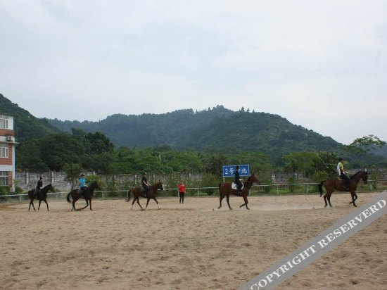 Гуанчжоу: Tianlu Equestrian Club