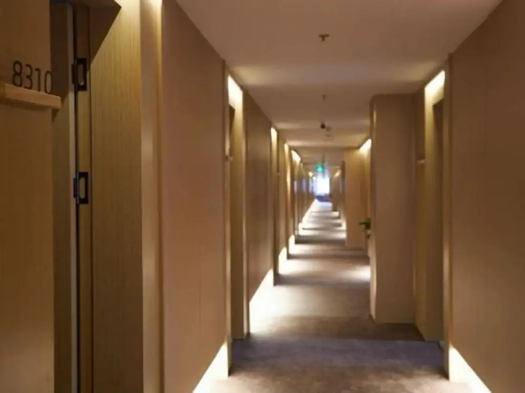 Шанхай: Dishman Boutique Hotel (Shanghai Zhoupu Wanda Branch)