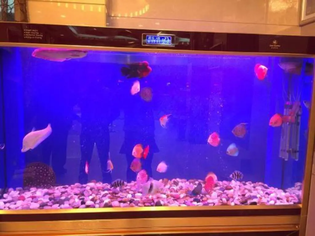 Иу: Guo Hao Hotel (Yiwu International Trade City)