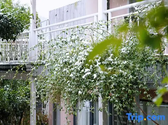 Ханчжоу: Longjing Xinqing Inn (West Lake Garden)