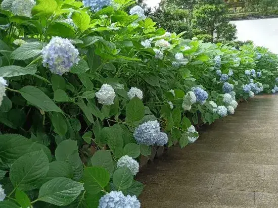 Цзиньхуа: Wuyi Yangchun Shanju Guesthouse