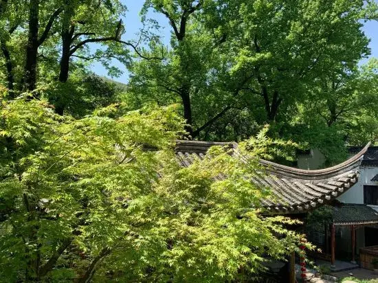 Цзиньхуа: Wuyi Yangchun Shanju Guesthouse