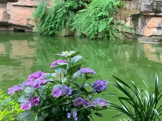 Цзиньхуа: Wuyi Yangchun Shanju Guesthouse