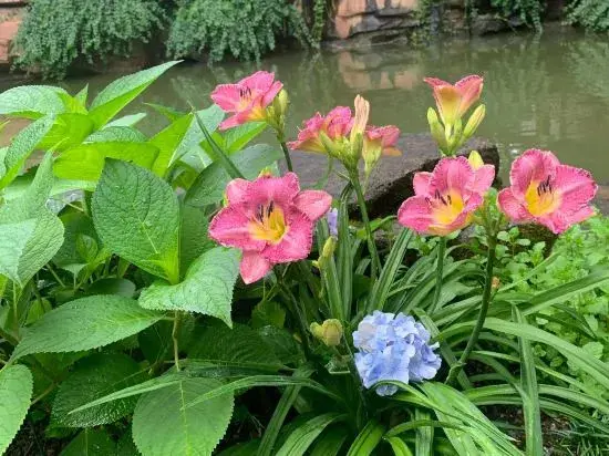 Цзиньхуа: Wuyi Yangchun Shanju Guesthouse