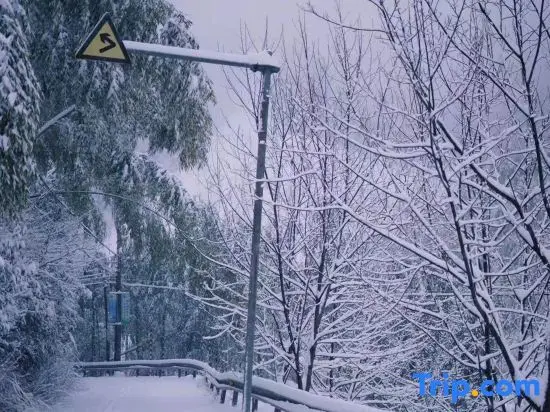Хучжоу: Shanfeng Zhuyun · Creekside Family Hiking Resort (Anji Longwang Mountain Rafting)