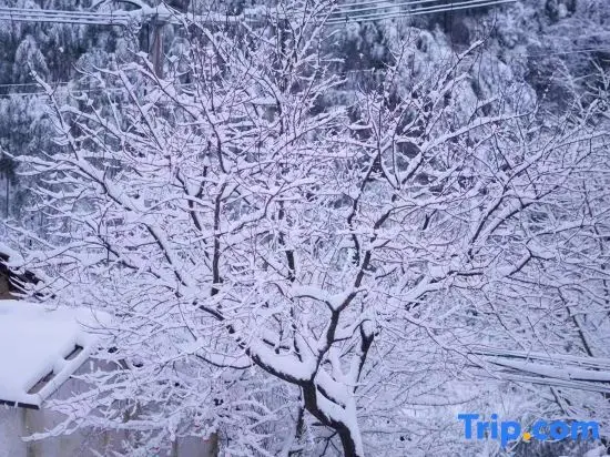 Хучжоу: Shanfeng Zhuyun · Creekside Family Hiking Resort (Anji Longwang Mountain Rafting)