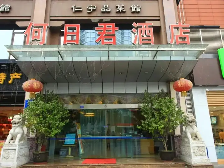 Чэнду: 何日君酒店(成都人南店)