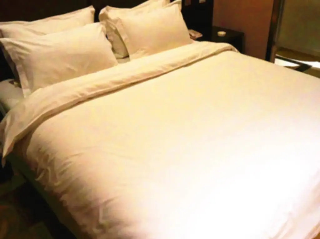 Хух-Хото: Fujiali Business Hotel