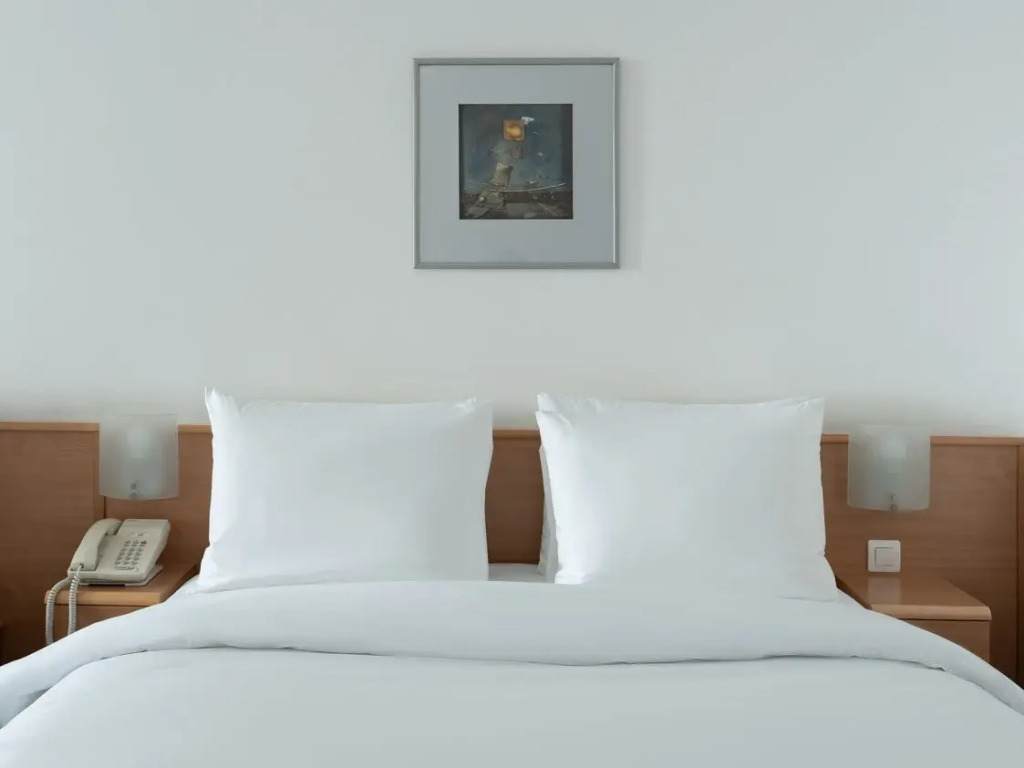 Москва: Отель Novotel Москва Центр