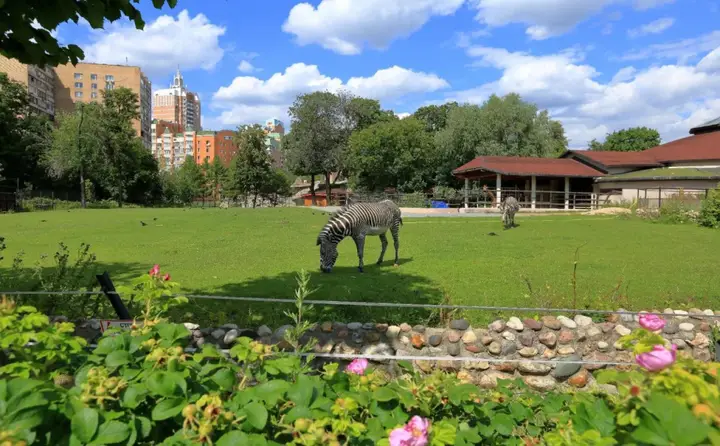 Москва: Mini-hotel Elephant