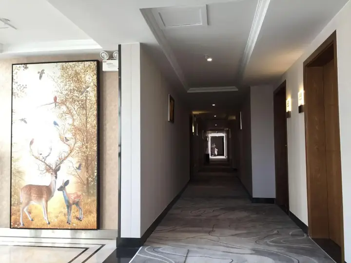Чунцин: Lizhi Holiday Hotel