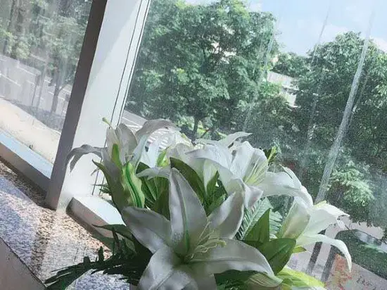 Нинбо: 宁波枫月商务宾馆